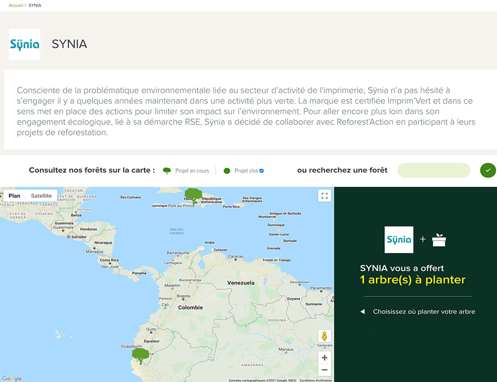 rse-synia-environnement-arbres rse Synia environnement reforest action arbres